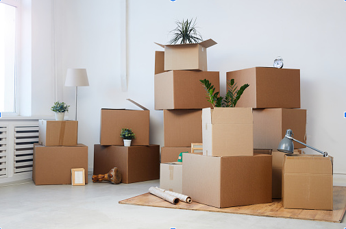 move-in-out-junk